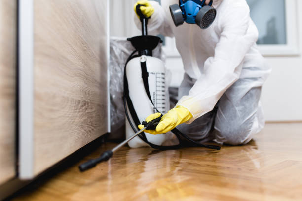 Best Termite Control Services  in Grant, MN