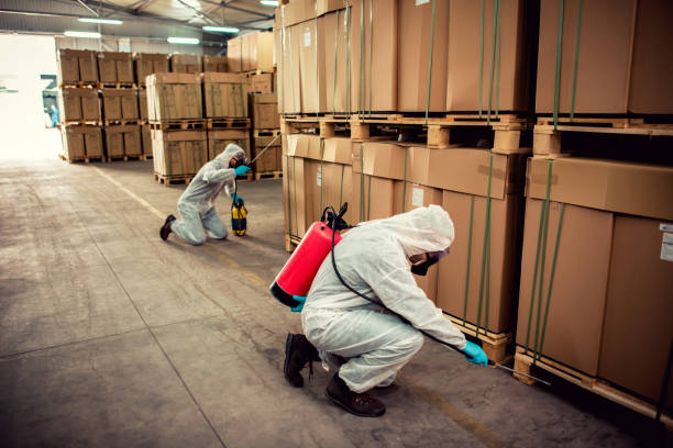 Best Cockroach Control Services  in Grant, MN