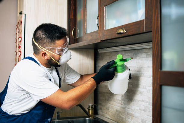 Best Cockroach Control Services  in Grant, MN