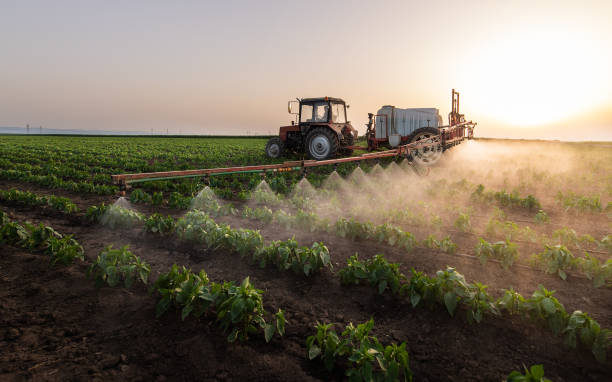 Best Wildlife Control Services  in Grant, MN