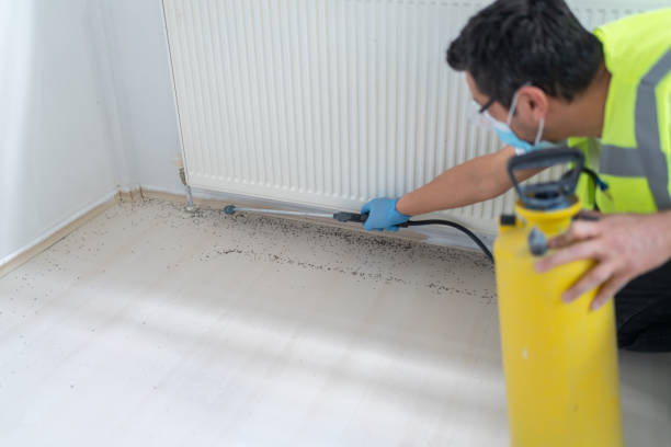 Best Pest Control for Homes  in Grant, MN