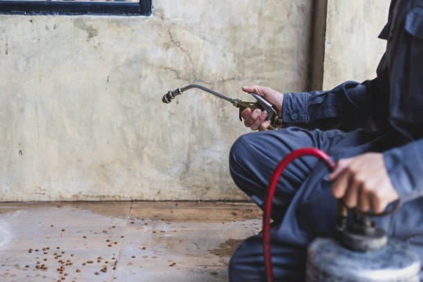 Best Pest Control Cost  in Grant, MN